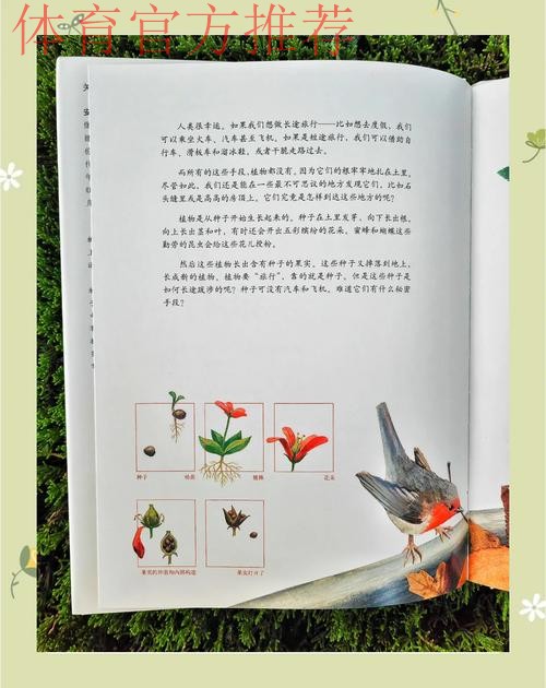 从北大到彭州,以足球之名撒下希望的种子 从北大到彭州,以足球之名撒下希望的种子